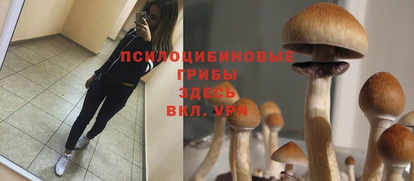 скорость Богородск