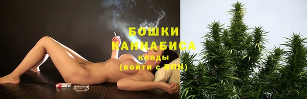 МДПВ Богородицк