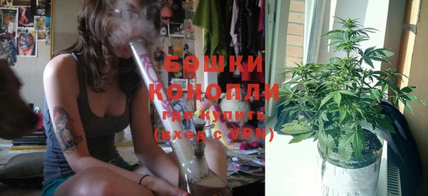 бутират Богданович