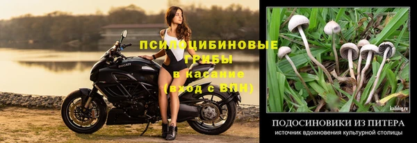 МДПВ Богородицк