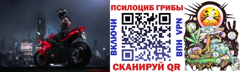 наркота  МЕГА маркетплейс  Псилоцибиновые грибы MAGIC MUSHROOMS  Чудово 